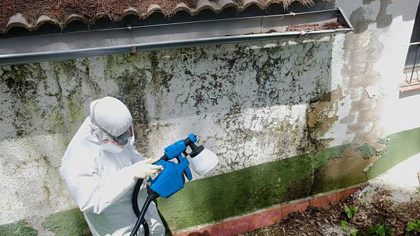 Top rated local Mold Remediation specialists in Oaklyn, NJ